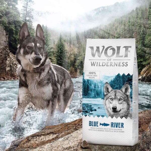12kg Wolf of Wilderness Dry Dog Food - £10 Off!* - Image 3