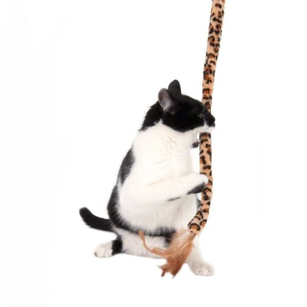 Leo Cat Dangler - Image 5