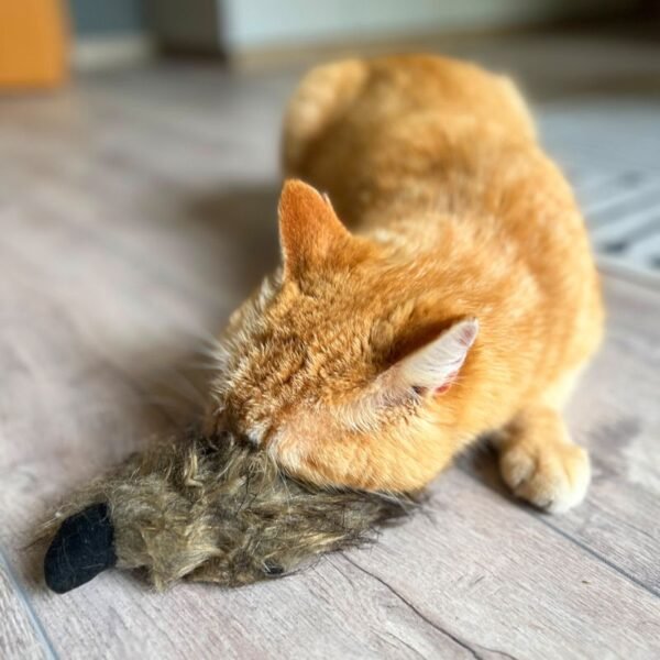 Aumüller Ferret Cat Toy - Image 2