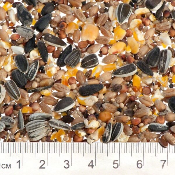 Lillebro Wild Bird Food - Image 2