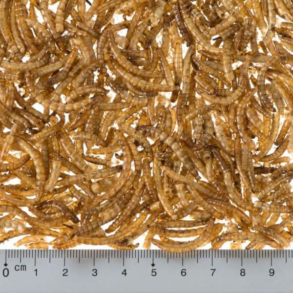 Lillebro Dried Mealworms - Image 3